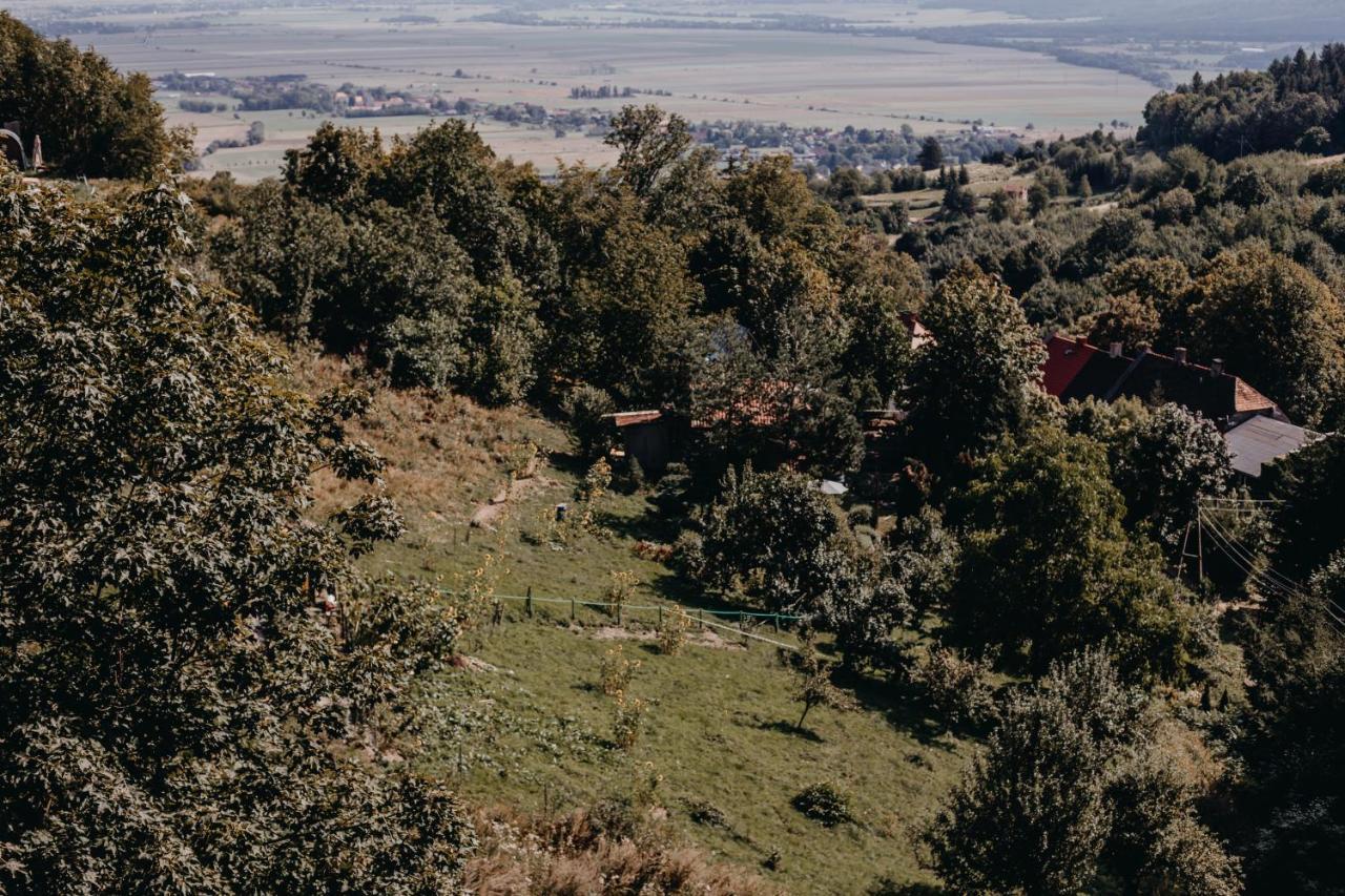 Villa Hubertus Srebrna Góra Eksteriør bilde