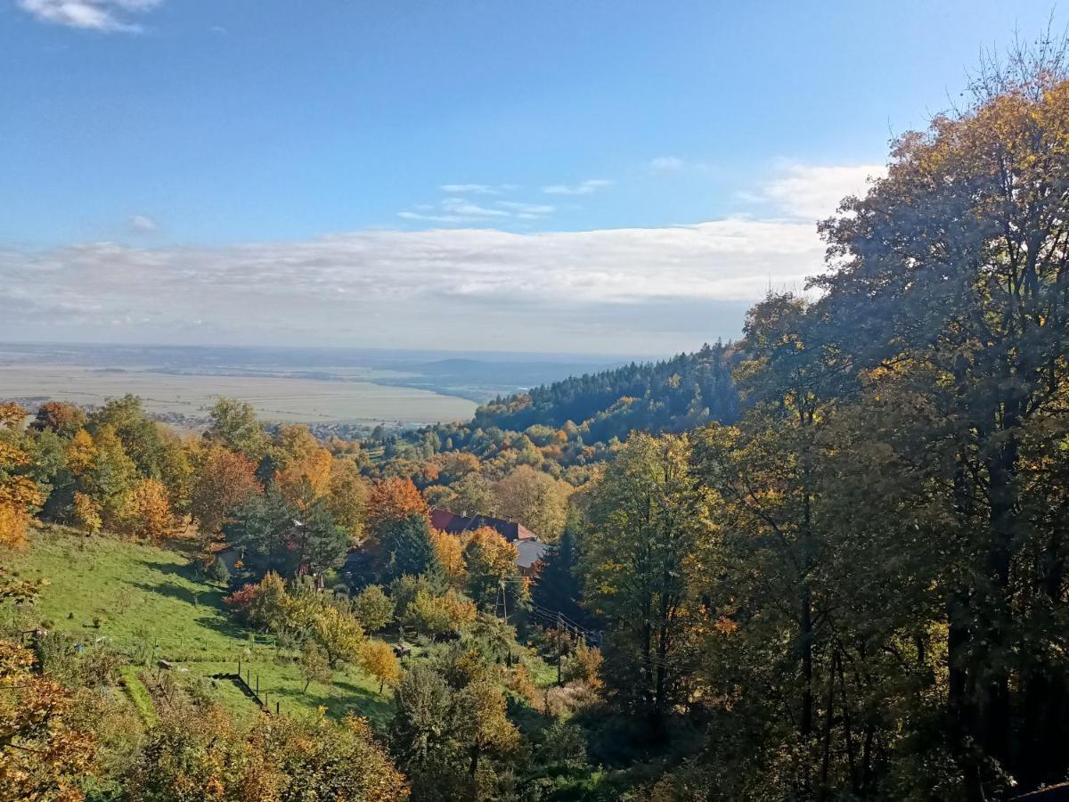 Villa Hubertus Srebrna Góra Eksteriør bilde