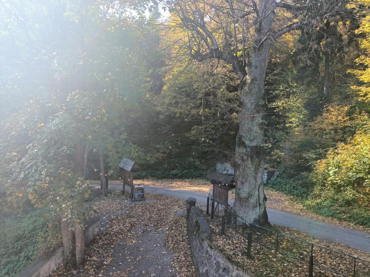 Villa Hubertus Srebrna Góra Eksteriør bilde