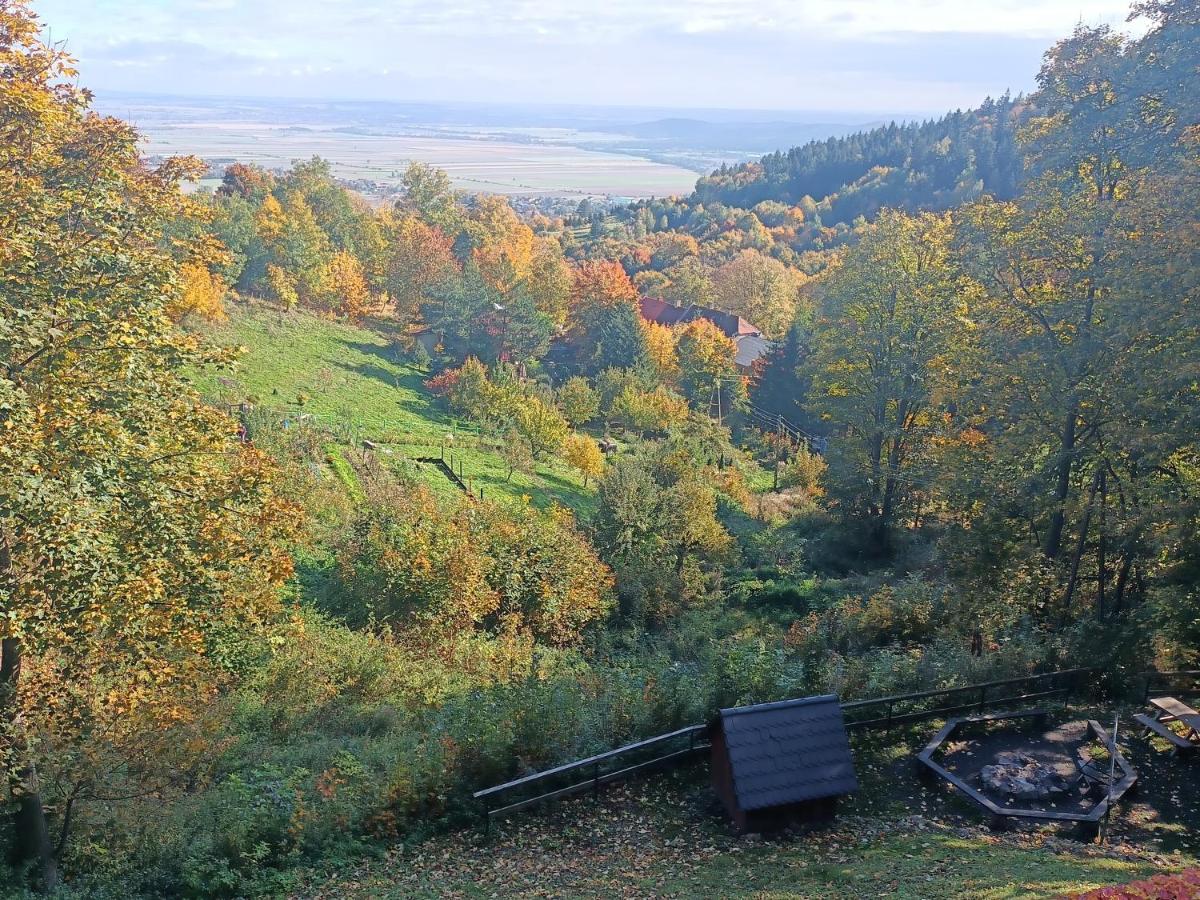Villa Hubertus Srebrna Góra Eksteriør bilde
